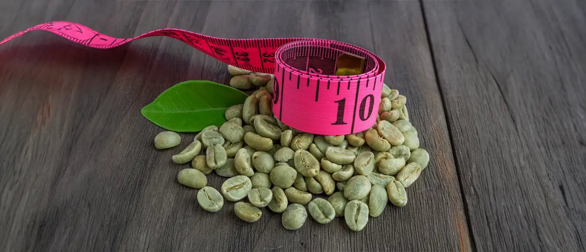 Ein Häufchen grüner Roh Kaffee Bohnen der Kaffeerösterei Martermühle darauf liegt ein pinkes Maßband