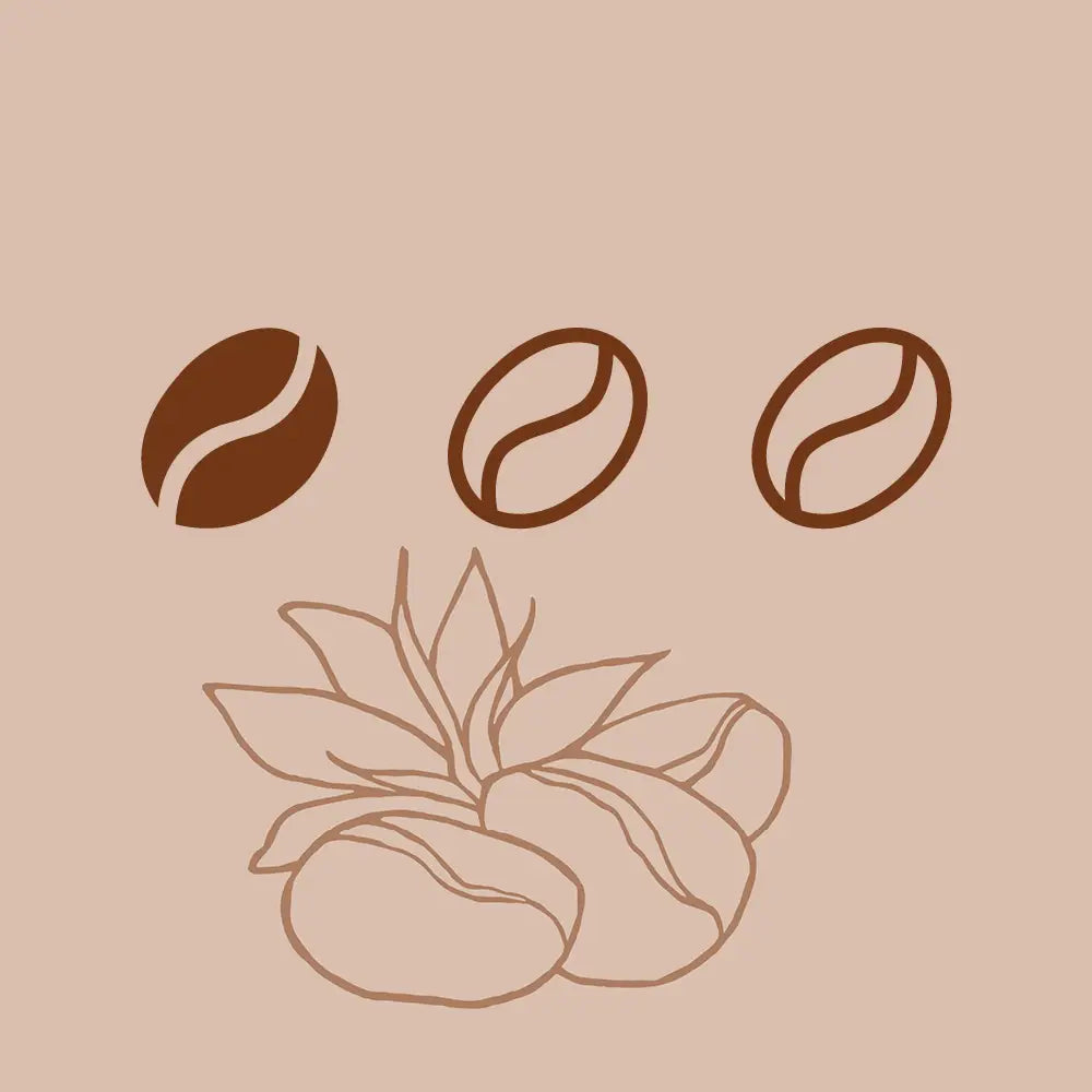 Geröstete Kaffeebohnen der Kaffeerösterei Martermühle mit gelber dicker Schrift "Mild"